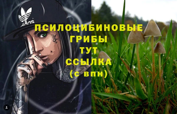mdpv Балахна
