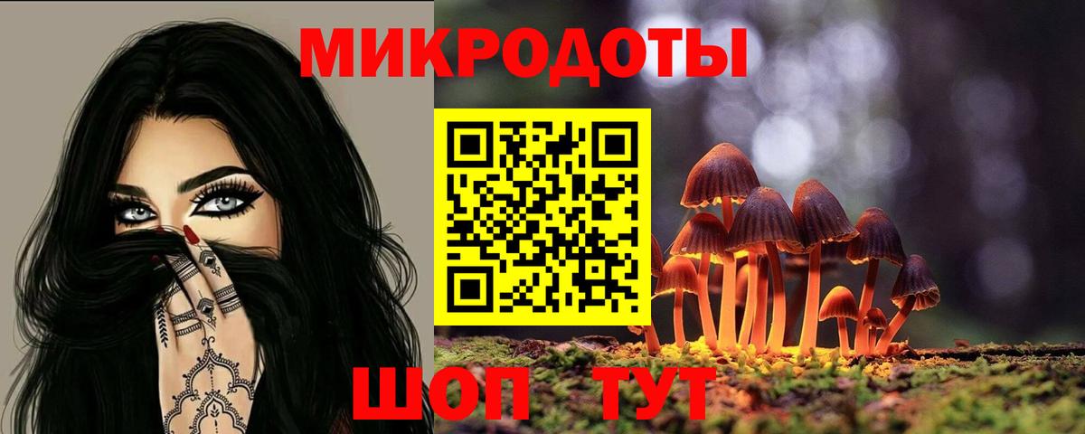 Галлюциногенные грибы MAGIC MUSHROOMS  Вход с VPN  где можно купить наркотик  Заречный 