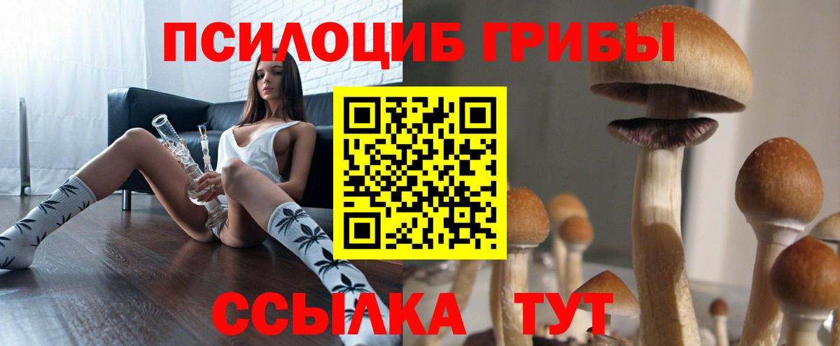 Галлюциногенные грибы Cubensis Заречный
